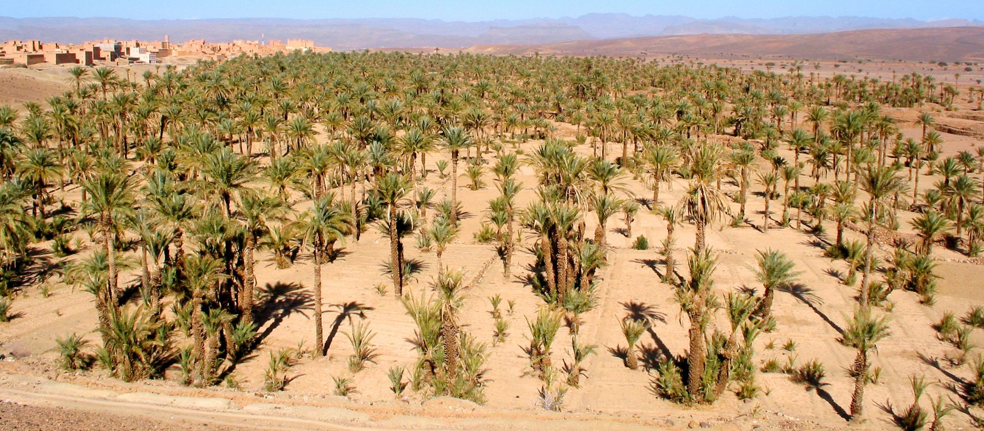 Le Sud Marocain en 4x4 & Extension Club Coralia Marrakech Ryads Parc & Spa 4* pas cher photo 15