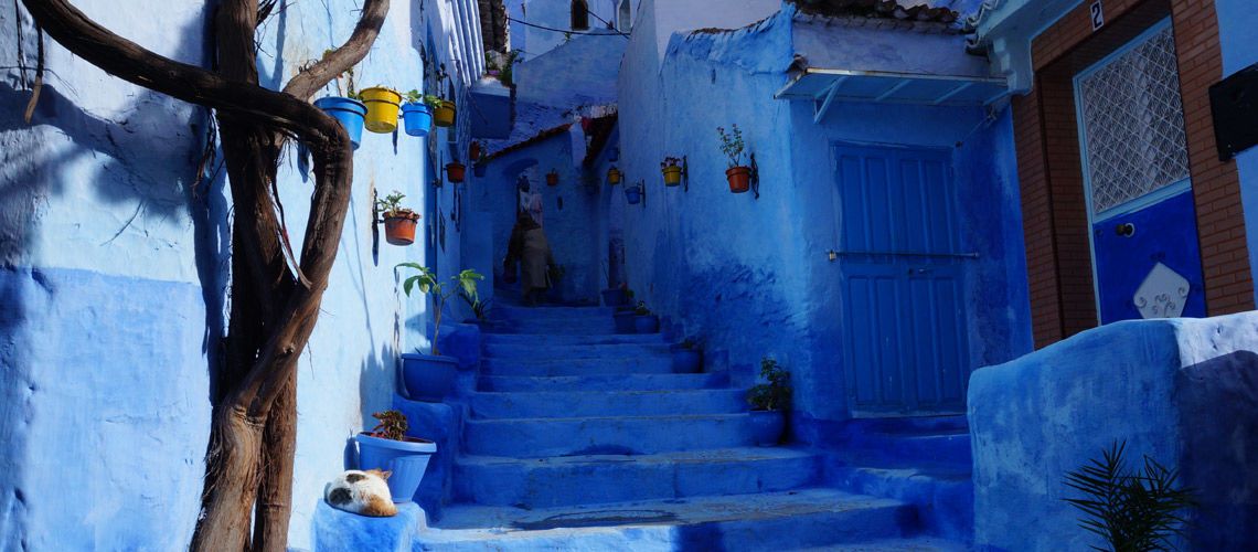 Circuit Villes Impériales & Extension Iberostar Palmeraie Marrakech 4* pas cher photo 14