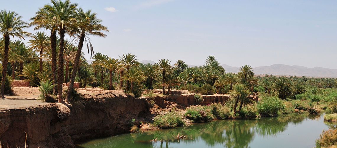 Circuit Coralia Grand Sud Marocain & Extension Iberostar Founty Beach Agadir 4*NL pas cher photo 8