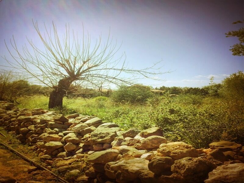 Autotour Culturel et Montagnes, Grèce centrale et Thessalonique - De Thessalonique A Thessalonique pas cher photo 6