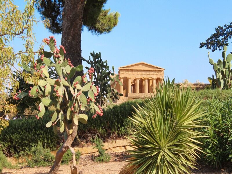 Circuit Le Grand tour de Sicile pas cher photo 5