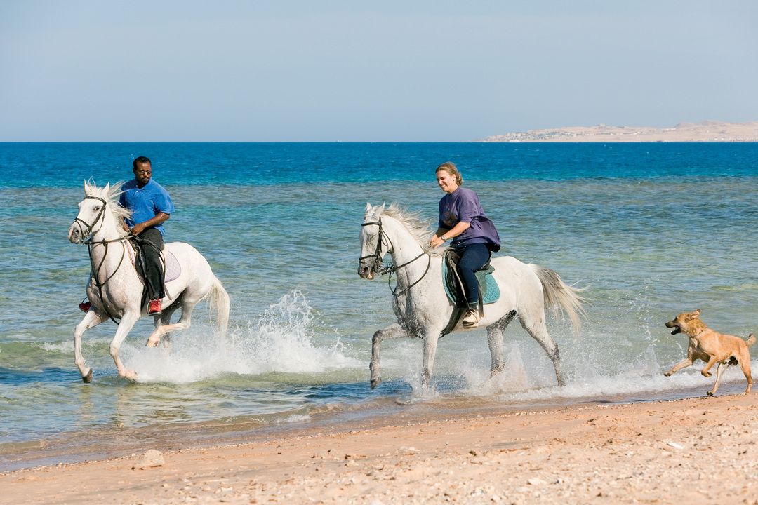 Combiné Le Caire et Mon French Club Hôtel Mercure Hurghada 4* pas cher photo 6