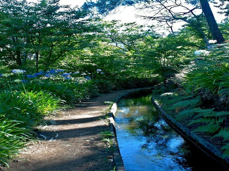 Circuit balade à Madère 2025/2026 pas cher photo 6