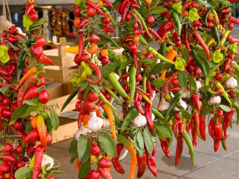 Autotour Grand tour de la Croatie 8 jours - De Dubrovnik A Dubrovnik pas cher photo 4