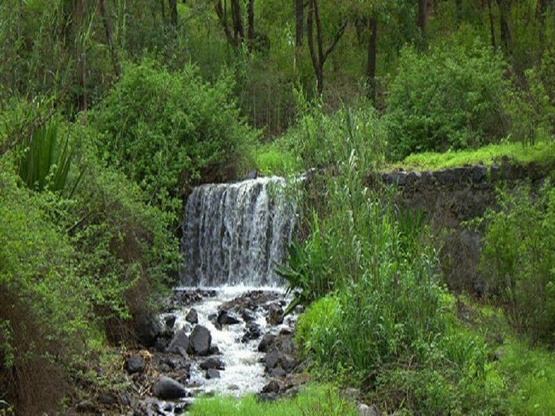 Circuit Parfums de Santiago pas cher photo 7