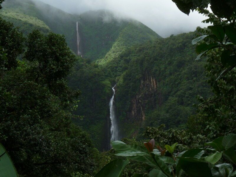 Circuit Antilles Pain de Sucre - De Fort de France A Point à Pitre pas cher photo 9