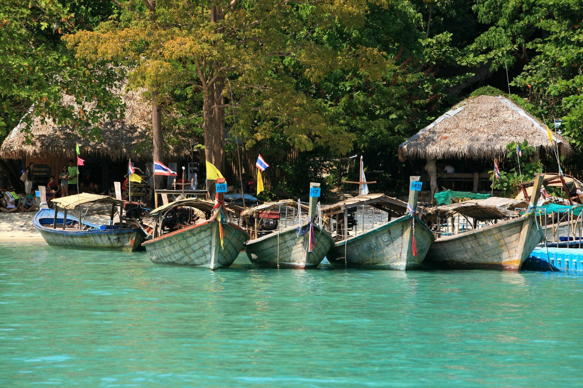 Circuit en liberté Tandem jungle 7 nuits pas cher photo 1