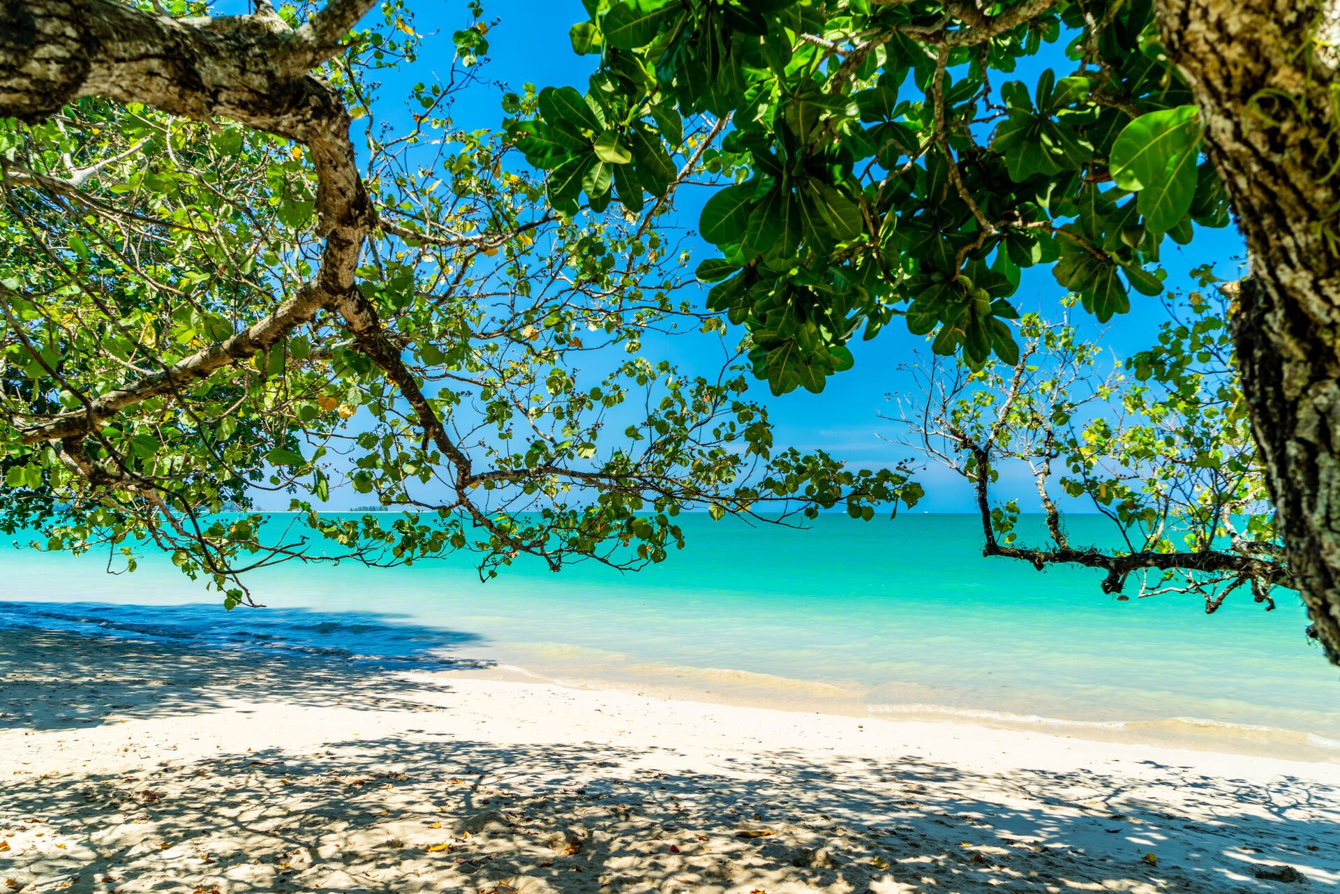 Circuit en liberté Tandem jungle 7 nuits pas cher photo 11