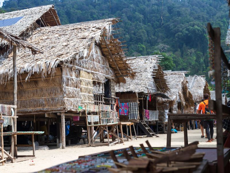 Circuit en liberté Tandem jungle 12 nuits pas cher photo 10