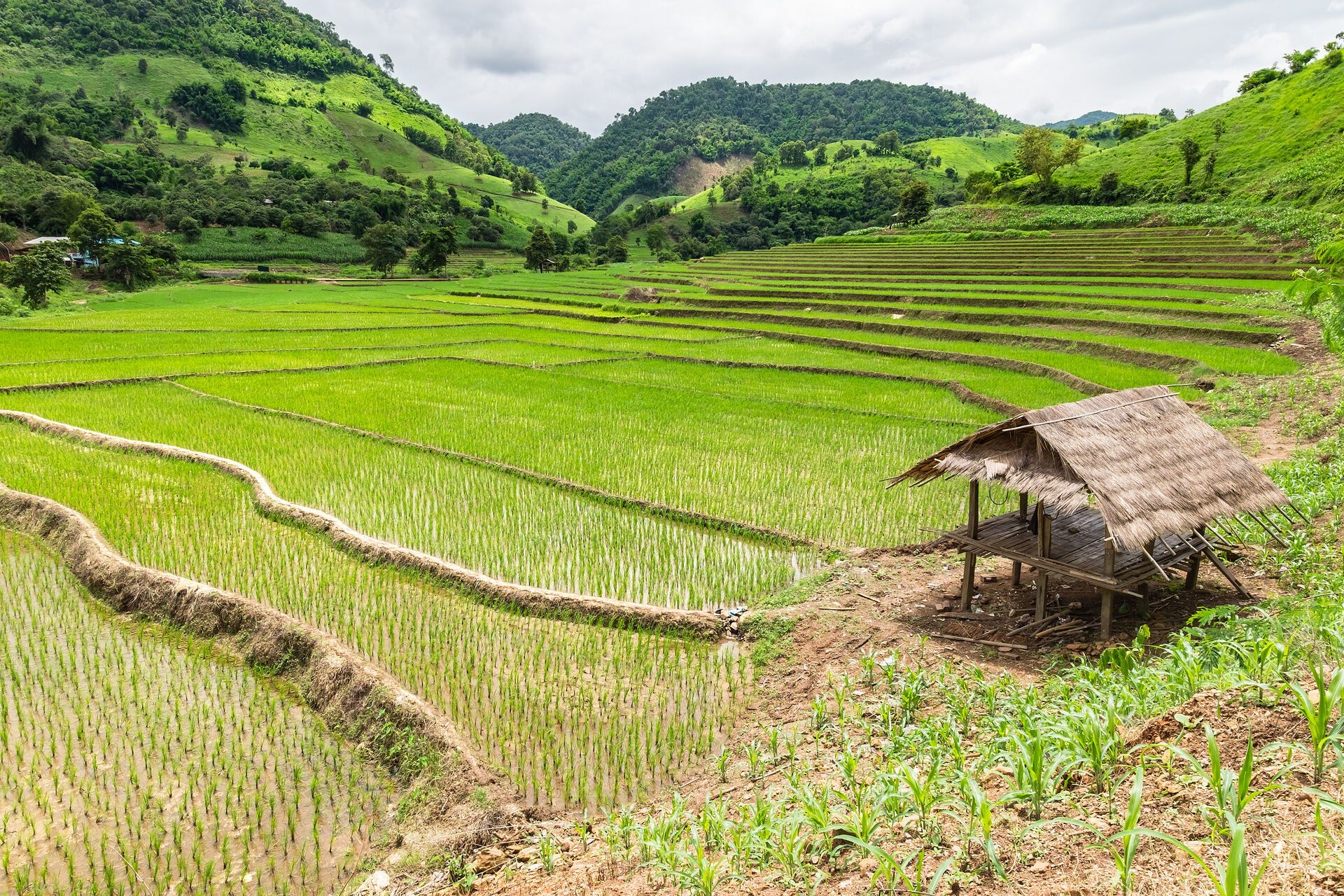 Circuit Jet Tours Signature - Mosaique Andaman & Détente au Sentido Khao Lak 4* - limité à 16 partic pas cher photo 8