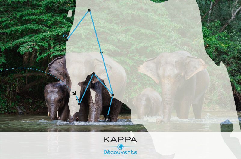 Kappa Decouverte Les Perles du Sud et Séjour Au Pullman Khao Lak Resort 5* pas cher photo 2