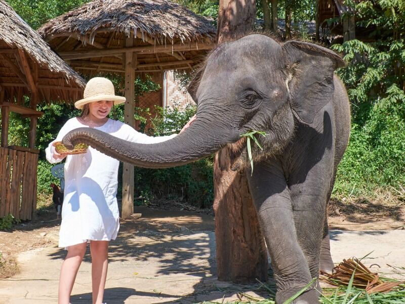 Circuit en liberté les trois joyaux d'Andaman 12 nuits pas cher photo 13