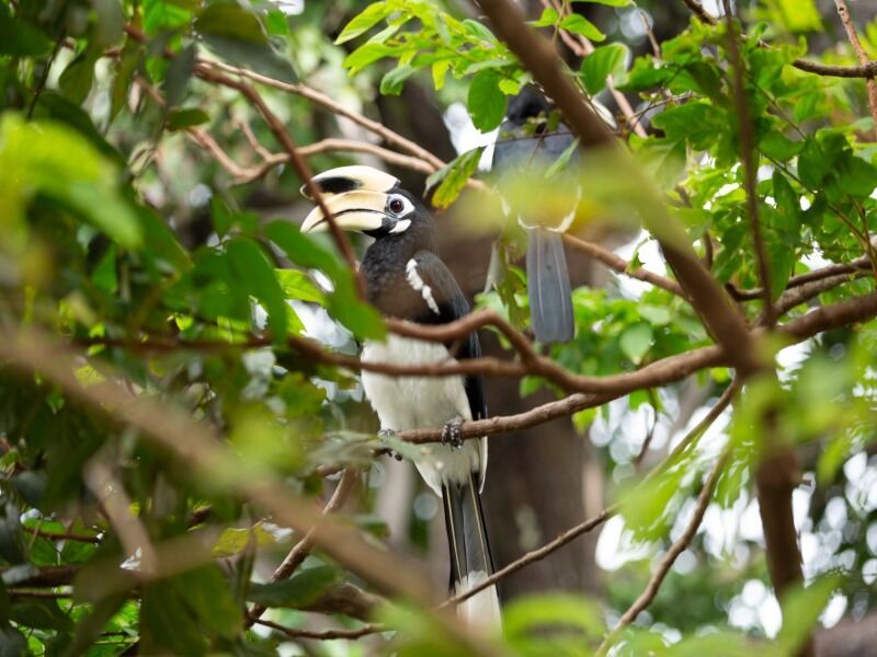 Circuit en liberté tandem zen 12 nuits pas cher photo 13