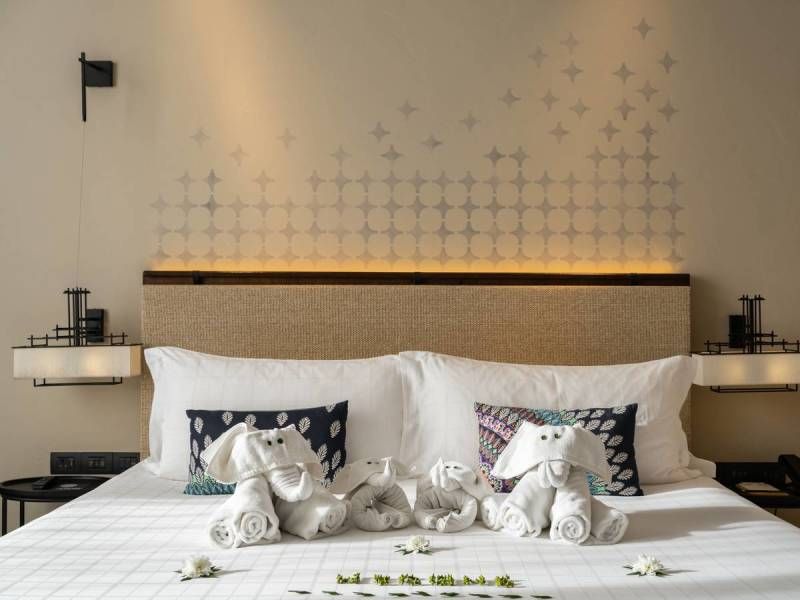 Circuit en liberté îles et terres sauvages 12 nuits pas cher photo 9