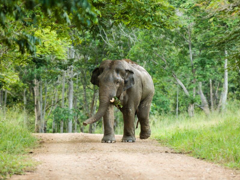 Circuit Thaïlande à la folie & Hua Hin - De Bangkok A Bangkok pas cher photo 11