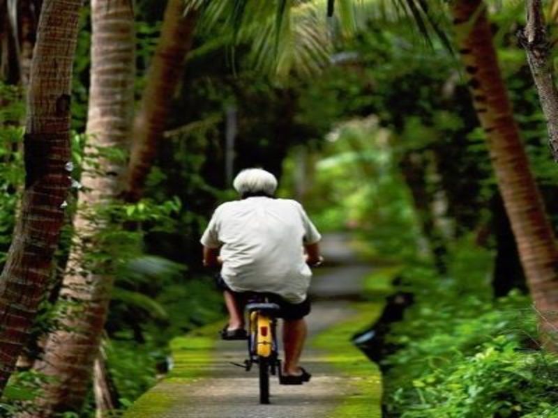 Circuit Bangkok et ses Environs - De Bangkok A Bangkok pas cher photo 4