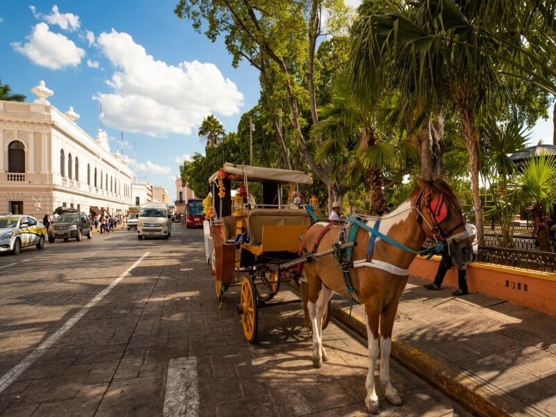 Circuit Yucatan en train - De Cancun A Cancun pas cher photo 6