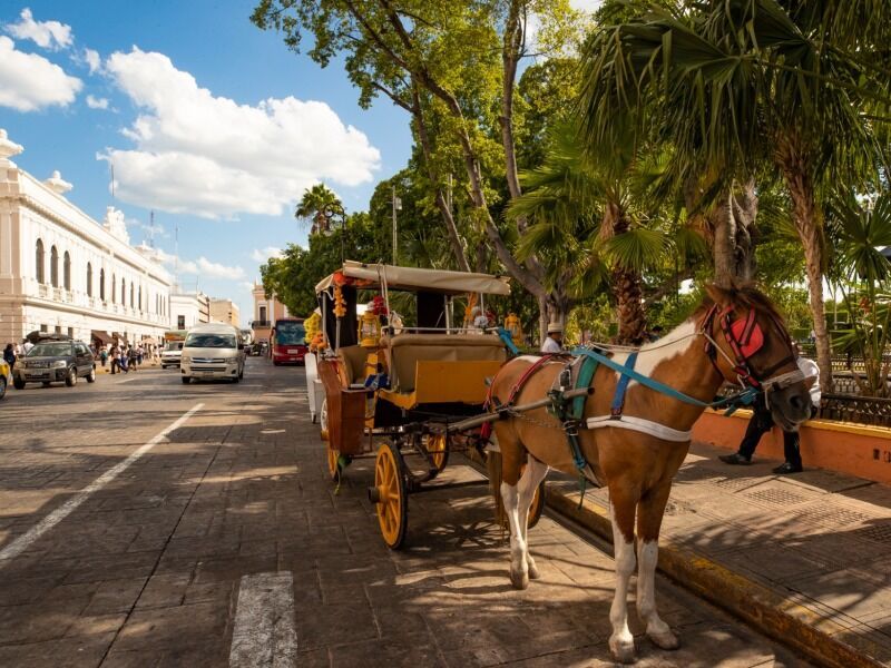 Circuit balade Yucateque 4 nuits Cancun pas cher photo 7