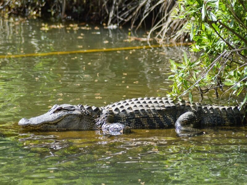 Circuit Séjour de rêve au Yucatan - De Cancun A Cancun pas cher photo 10