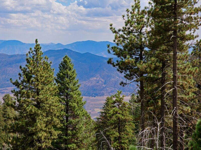 Circuit ouest Express pas cher photo 9