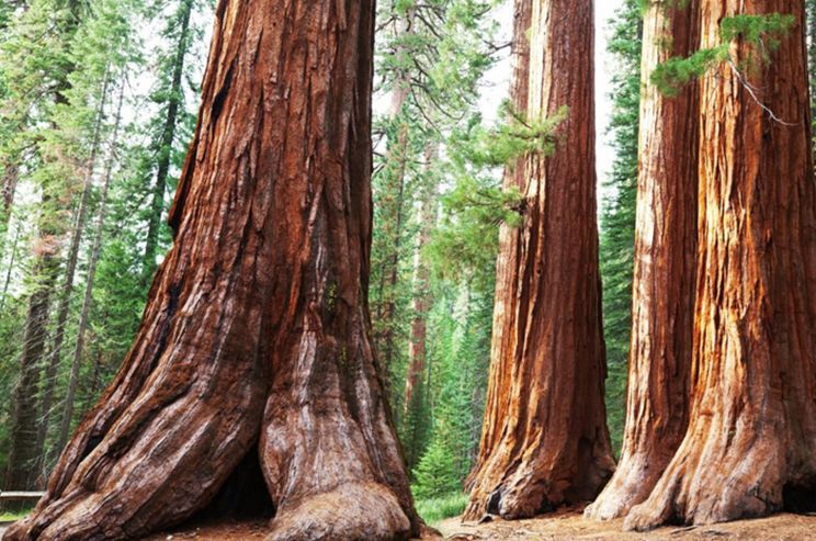 Circuit L'Ouest Complet pas cher photo 12