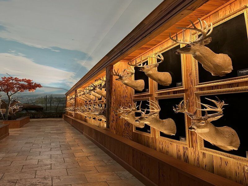 Autotour Route 66 - De Chicago A Los Angeles pas cher photo 5