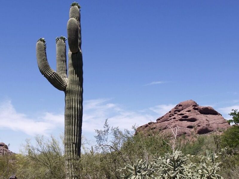 Autotour Classic West Xl - De Los Angeles A San Fransisco pas cher photo 4