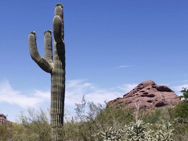 Autotour Classic West Supérieur - De Los Angeles A San Francisco pas cher photo 4