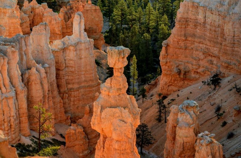 Le Nouveau-Mexique et le Train de Silverton pas cher photo 5