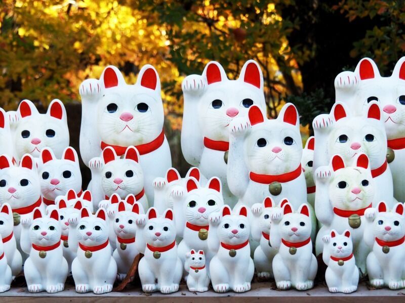 Circuit en liberté plongée dans l'Univers du Japon 3* - 8 nuits pas cher photo 3