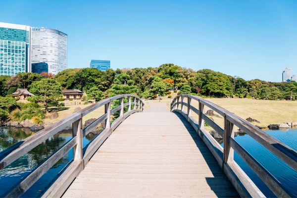 Circuit Otakus et Capitales, le Japon en Famille et Liberté pas cher photo 9