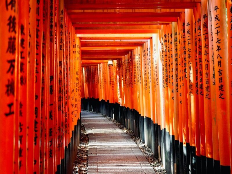 Circuit en liberté le Japon des sensations pas cher photo 1