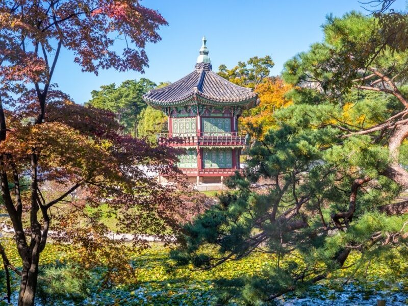 Circuit Les essentiels Japon et Corée du Sud - De Tokyo A Séoul pas cher photo 12