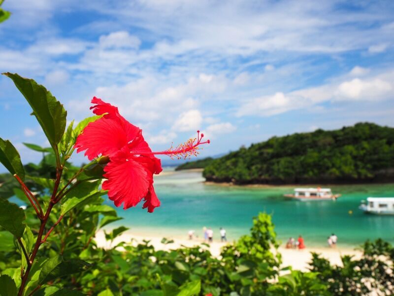 Circuit privé Paradis Japonais : Tokyo, Kyoto, Osaka et les plages d'Okinawa 3* pas cher photo 9