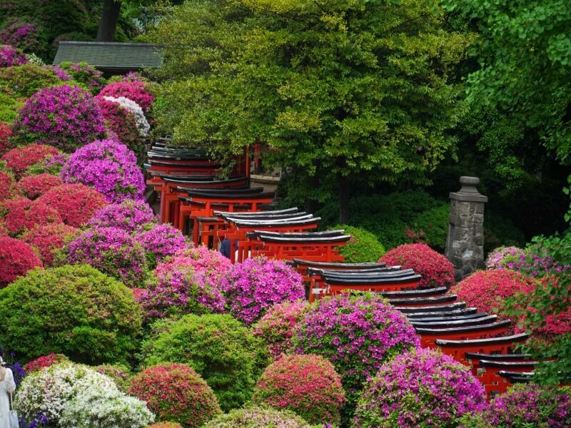 Circuit en liberté combiné Séoul Tokyo en 4* - 8 nuits pas cher photo 1