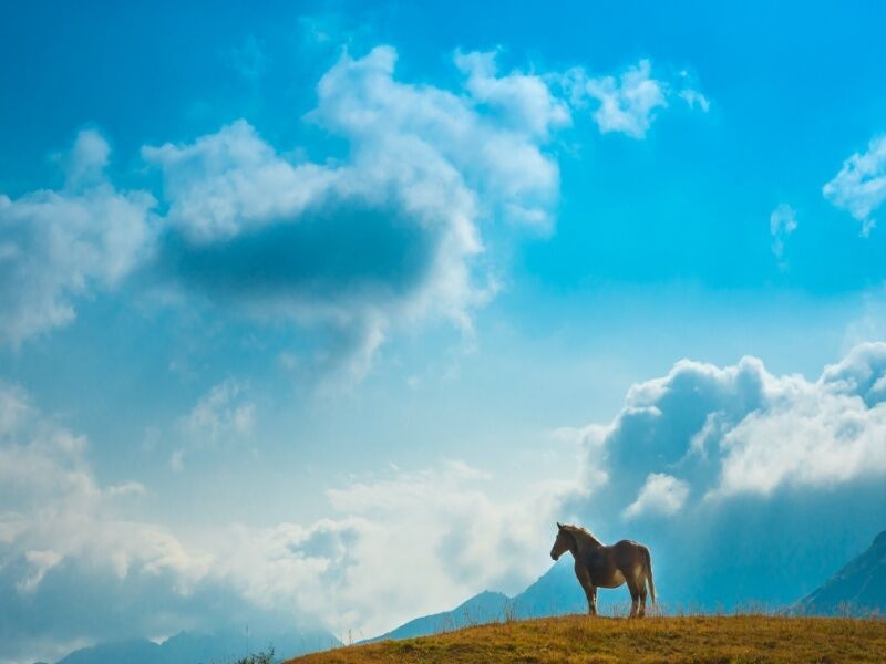 Circuit La grande traversée du Japon en 3 semaines - De Tokyo A Osaka pas cher photo 11