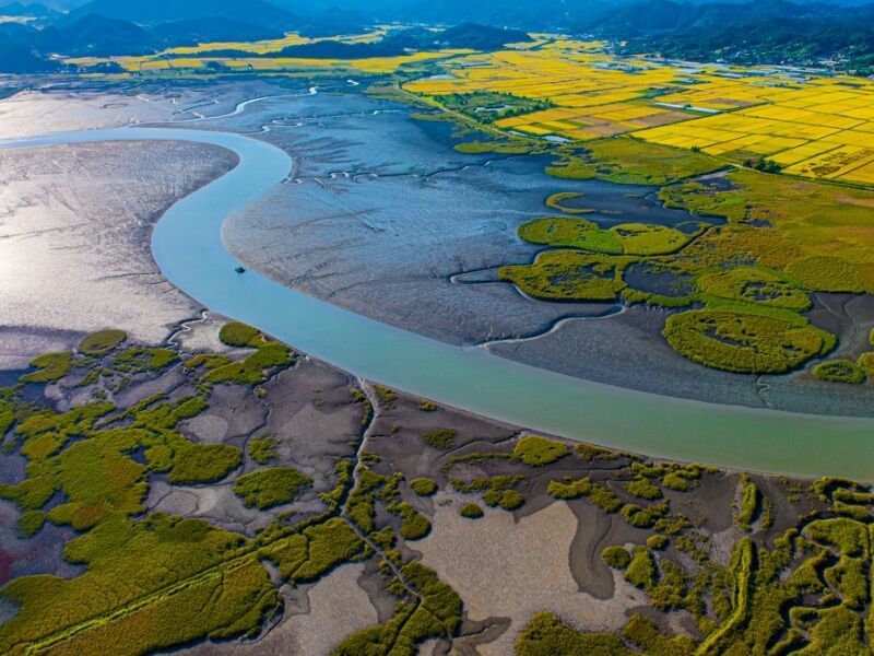 Circuit en liberté : La grande découverte du Japon et de la Corée pas cher photo 3