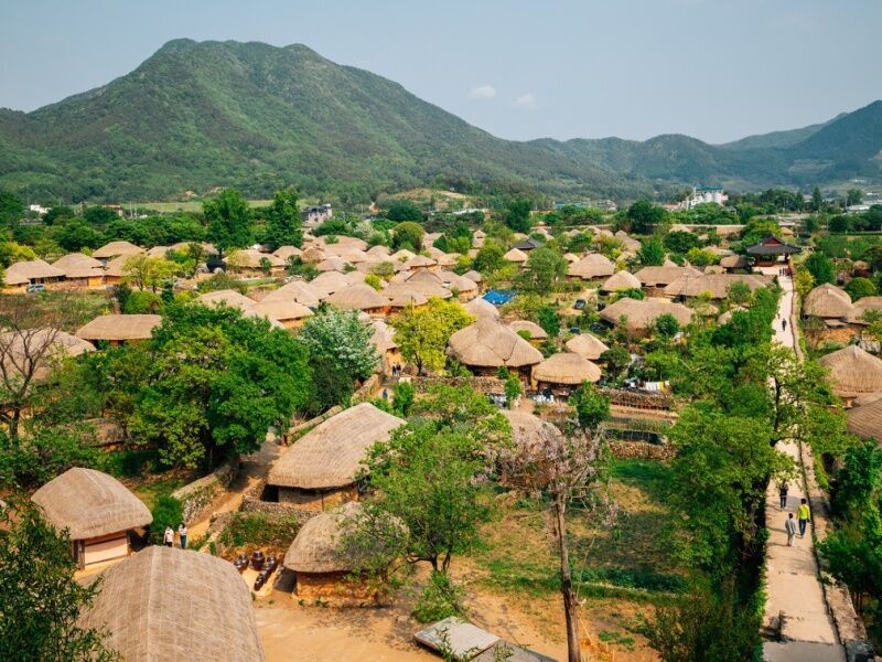 Circuit en liberté : La grande découverte du Japon et de la Corée pas cher photo 5