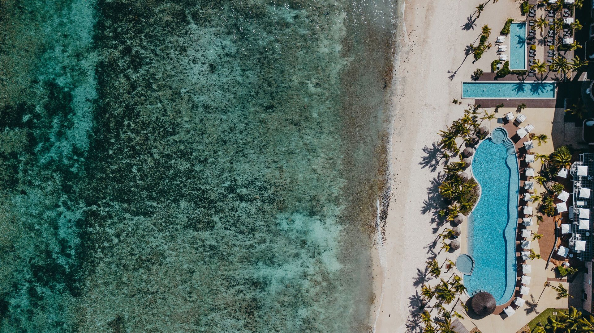 Combiné Le Meridien & St Regis Le Morne Resort pas cher photo 10