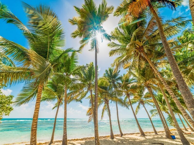 Autotour Les iles de Guadeloupe - De Point à Pitre A Pointe à Pitre pas cher photo 2