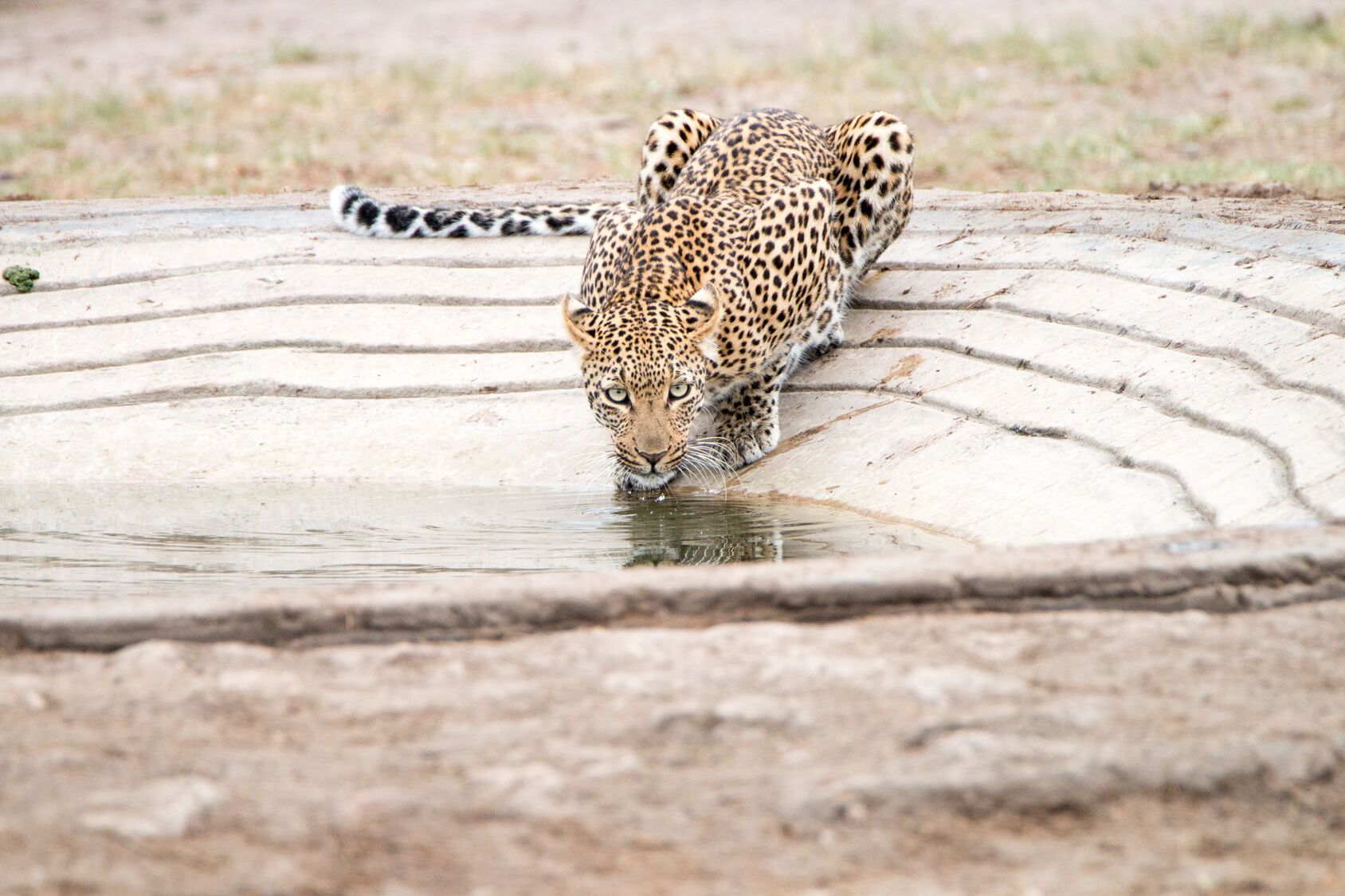 Circuit les couleurs d'Afrique du Sud - limité à 20 participants pas cher photo 6