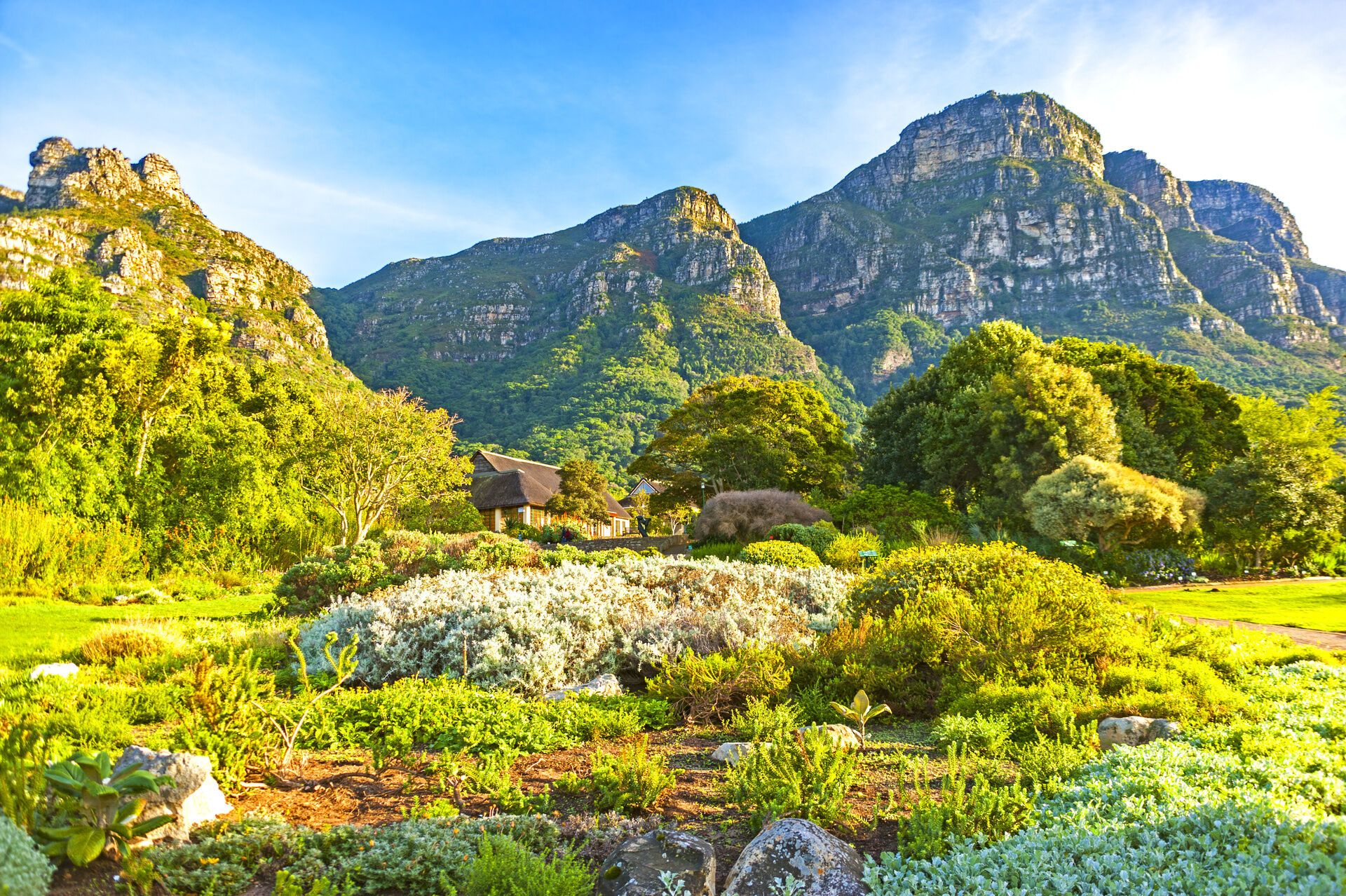 Circuit les couleurs d'Afrique du Sud - limité à 20 participants pas cher photo 9
