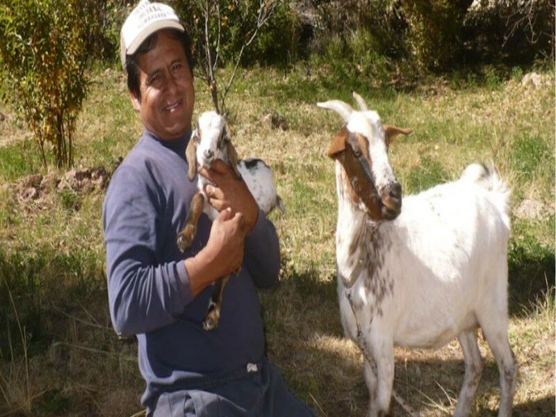 Circuit Voyage communautaire dans le Nord Ouest Argentin - De Buenos Aires A Buenos Aires pas cher photo 7