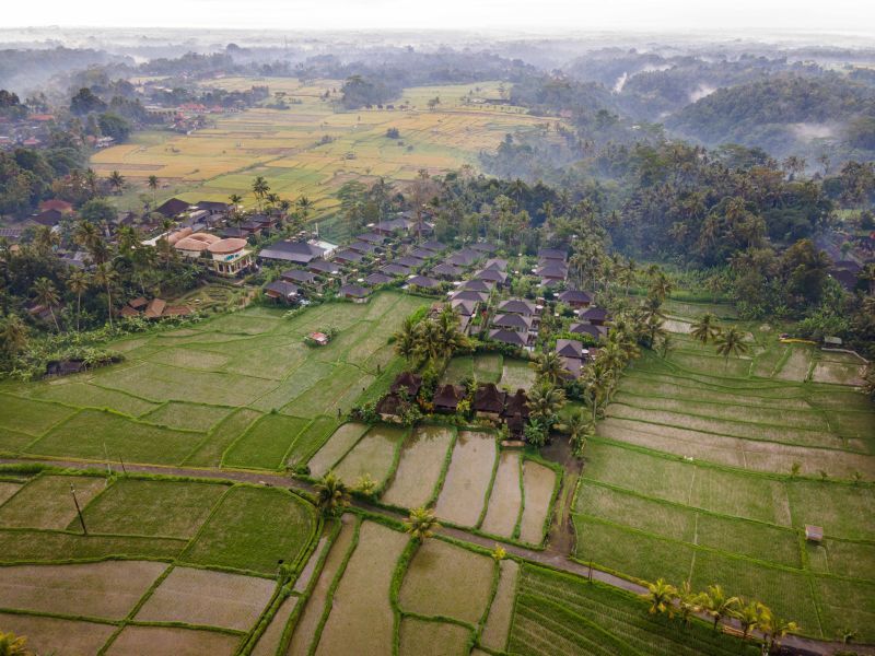 Duo Ubud, Nusa Dua : Kappa Senses 5* & Sofitel Bali Nusa Dua Beach Resort 5* pas cher photo 10