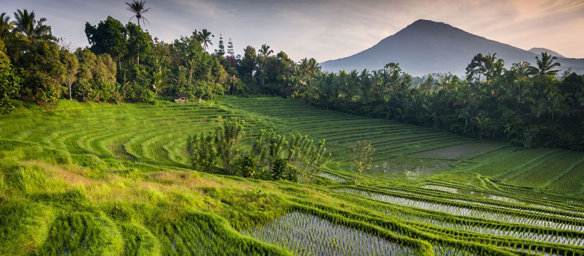 Circuit Kappa Découverte - Trésors de Bali & Extension Nusa Dua Beach Hotel & Spa 5* pas cher photo 9