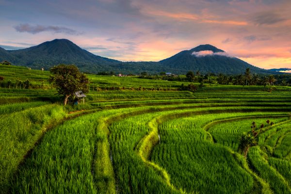Circuit Bien-Être à Bali en Privatif pas cher photo 15
