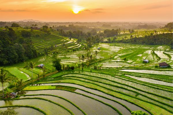 Circuit Bien-Être à Bali en Privatif pas cher photo 16