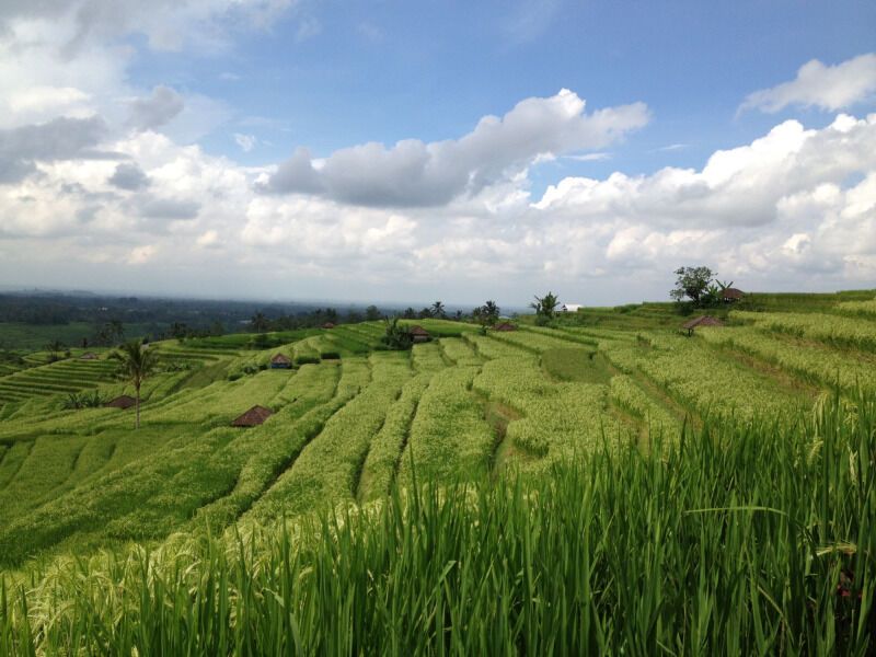 Magie Balinaise et Extension 4 Nuits - De Denpasar A Denpasar pas cher photo 3