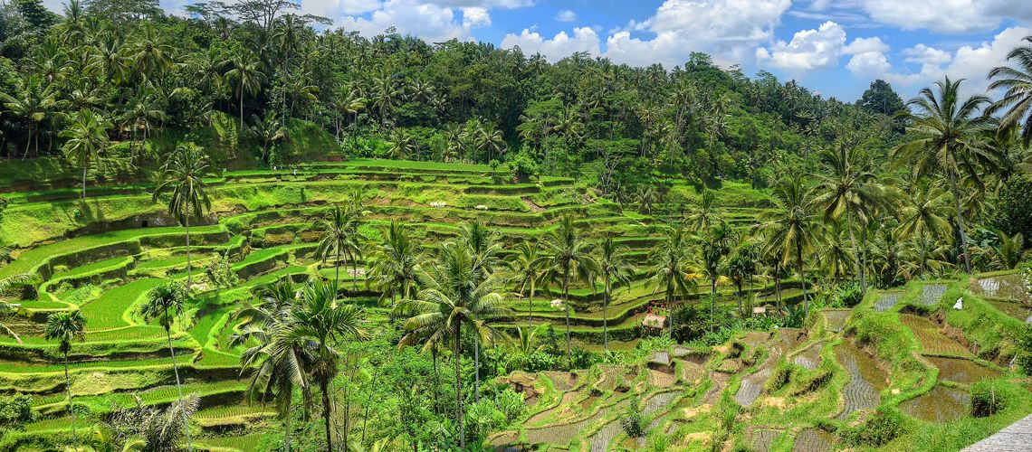 Circuit Kappa Découverte - Trésors de Bali et Extension Kappa Club Nusa Dua Beach Hotel & Spa 5* - H pas cher photo 16