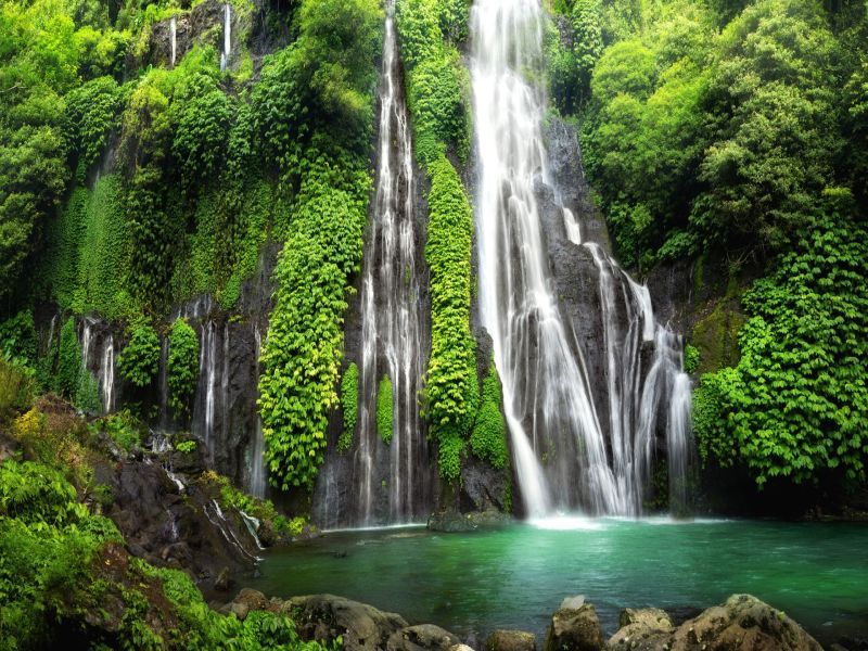 Circuit Indonésie ancestrale : Bali et Komodo 3/4* pas cher photo 3